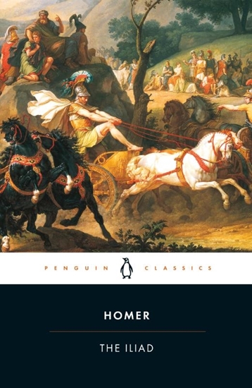 Afbeelding van The Iliad