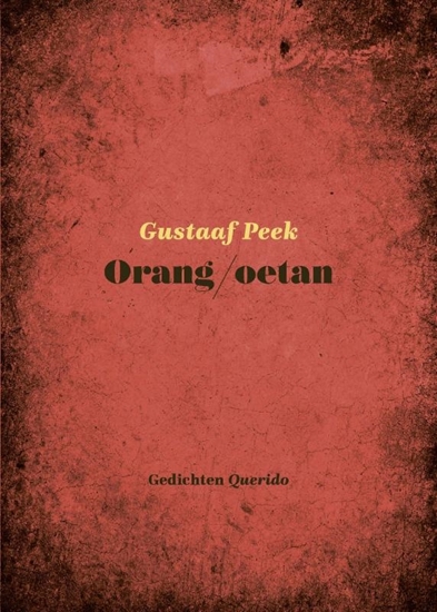 Afbeelding van Orang/oetan