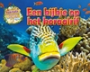 Afbeelding van Habitats ver weg Een kijkje op het koraalrif