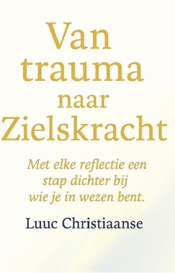 Afbeelding van Van trauma naar Zielskracht