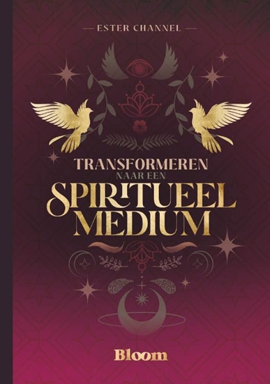 Afbeelding van Transformeren naar een spiritueel medium