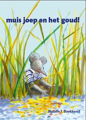 Afbeeldingen van Muis Joep muis joep en het goud!