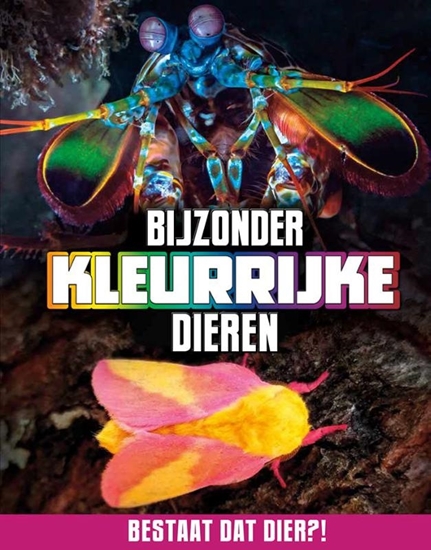 Afbeelding van Bestaat dat dier?! Bijzonder kleurrijke dieren