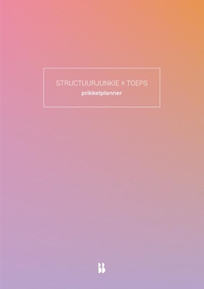 Afbeeldingen van Structuurjunkie Structuurjunkie x TOEPS-prikkelplanner