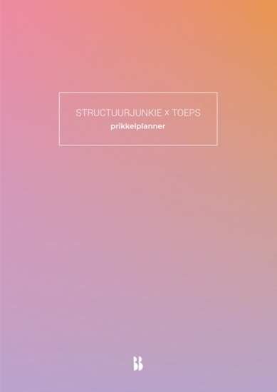 Afbeelding van Structuurjunkie Structuurjunkie x TOEPS-prikkelplanner