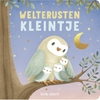 Afbeelding van Little Dutch Welterusten kleintje