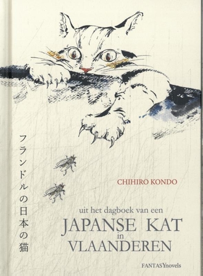 Afbeelding van Japanse kat in Vlaanderen
