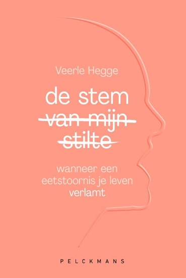 Afbeelding van De stem van mijn stilte