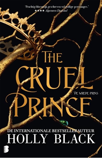 Afbeelding van The Cruel Prince