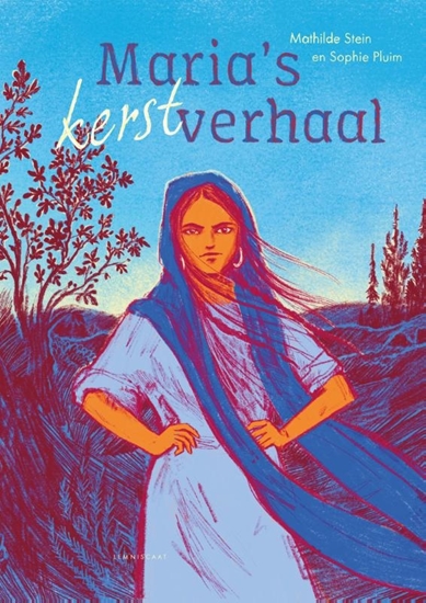 Afbeelding van Maria's kerstverhaal