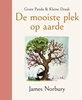 Afbeelding van Panda Grote Panda & Kleine Draak - De mooiste plek op aarde