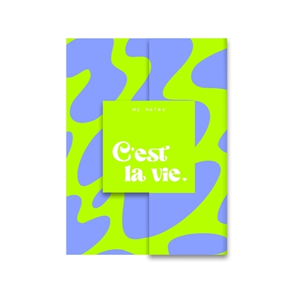 Afbeeldingen van My notes - C'est la vie.