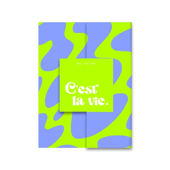 Afbeelding van My notes - C'est la vie.
