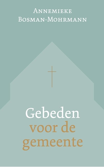 Afbeelding van 9789043543729