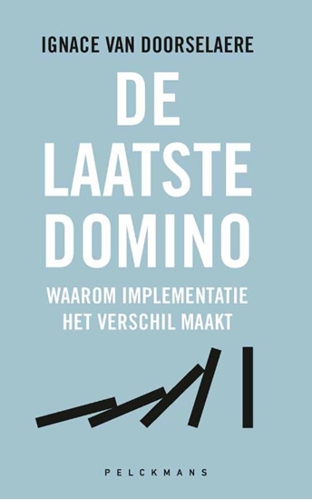 Afbeelding van De laatste domino