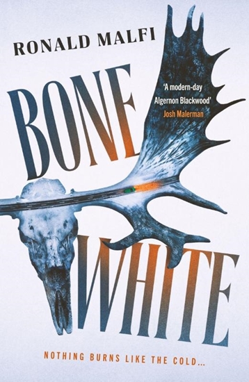 Afbeelding van Bone White