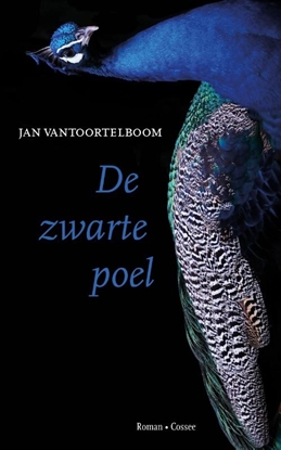 Afbeeldingen van De zwarte poel