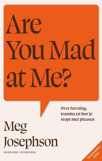 Afbeelding van Are You Mad at Me?