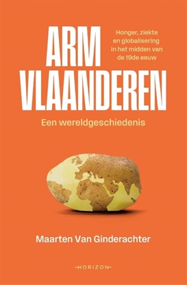 Afbeeldingen van Arm Vlaanderen. Een wereldgeschiedenis