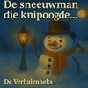 Afbeelding van De sneeuwman die knipoogde