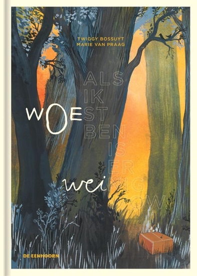 Afbeelding van Als ik woest ben, is er weinig wow