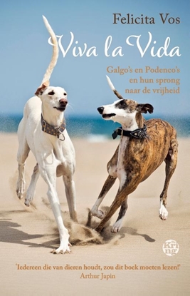 Afbeeldingen van Viva la Vida