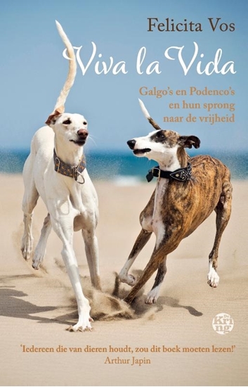 Afbeelding van Viva la Vida