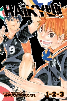 Afbeeldingen van Haikyu!! (3-in-1 Edition) Haikyu!! (3-in-1 Edition), Vol. 1