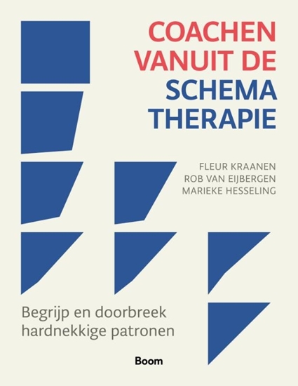 Afbeelding van Coachen vanuit de schematherapie