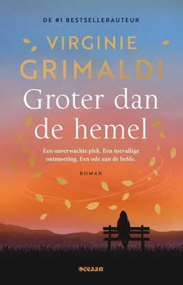 Afbeeldingen van Groter dan de hemel