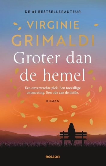 Afbeelding van Groter dan de hemel