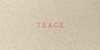 Afbeelding van Jenny Holzer: Trace