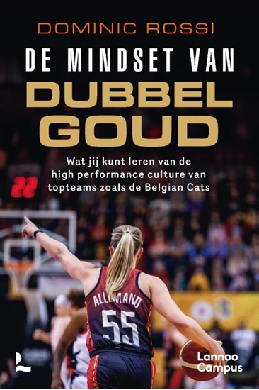 Afbeelding van De mindset van dubbel goud