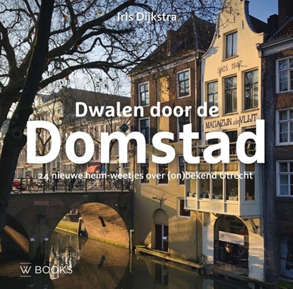Afbeeldingen van Dwalen door de Domstad