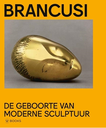 Afbeeldingen van Brancusi
