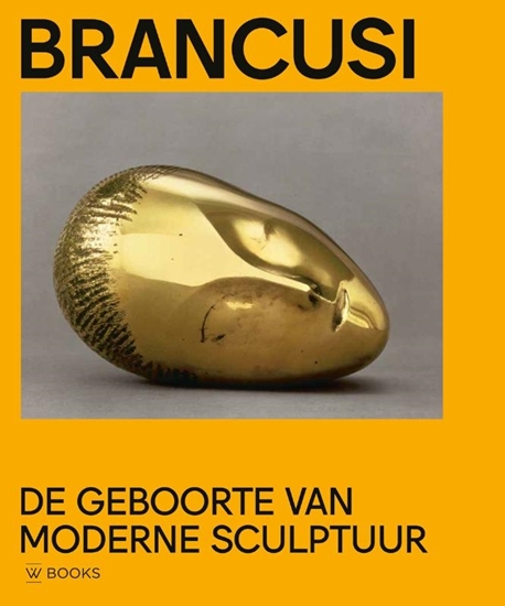 Afbeelding van Brancusi