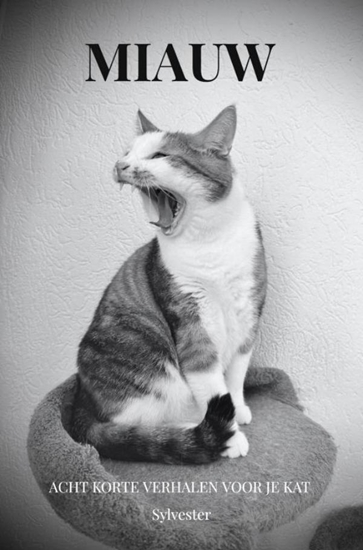 Afbeelding van Miauw
