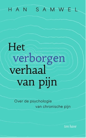 Afbeelding van Het verborgen verhaal van pijn