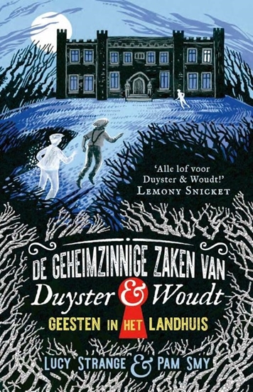 Afbeelding van De geheimzinnige zaken van Duyster & Woudt Geesten in het landhuis