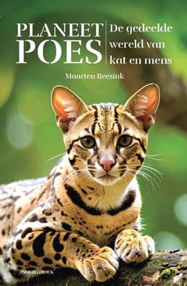 Afbeeldingen van Planeet Poes