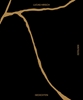 Afbeelding van Kintsugi