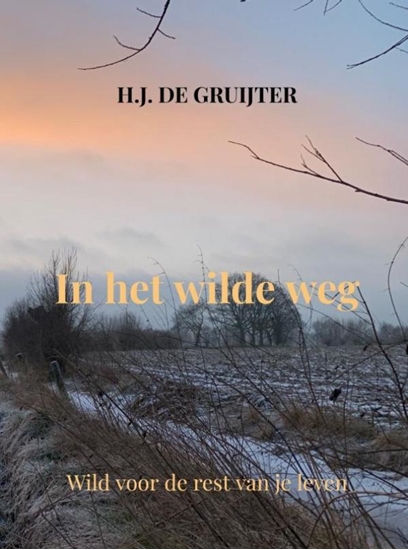 Afbeelding van In het wilde weg