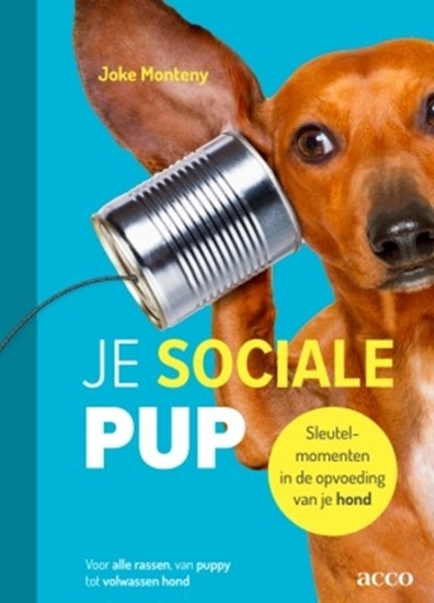 Afbeelding van Je sociale pup