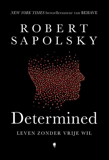 Afbeelding van Determined