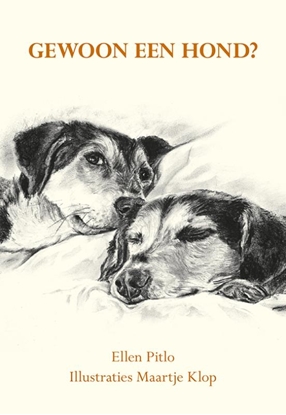 Afbeeldingen van Gewoon een hond?