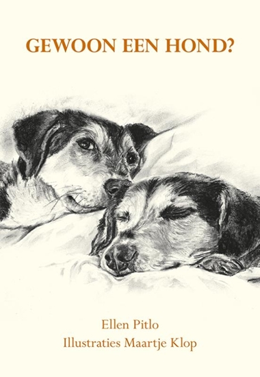Afbeelding van Gewoon een hond?