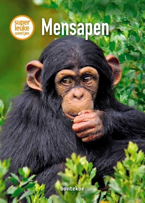 Afbeeldingen van Superleuke weetjes Mensapen