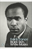 Afbeelding van Penguin Modern Classics Black Skin, White Masks