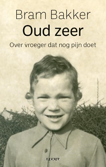 Afbeelding van Oud zeer