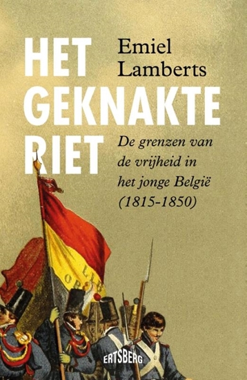 Afbeelding van Het geknakte riet